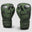 Fumetsu Snake Eyes Boxing Gloves Fumetsu