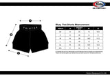 Fairtex Muay Thai Shorts - Focus Fairtex